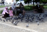 Pigeon feeding – Istanbul, Turkey